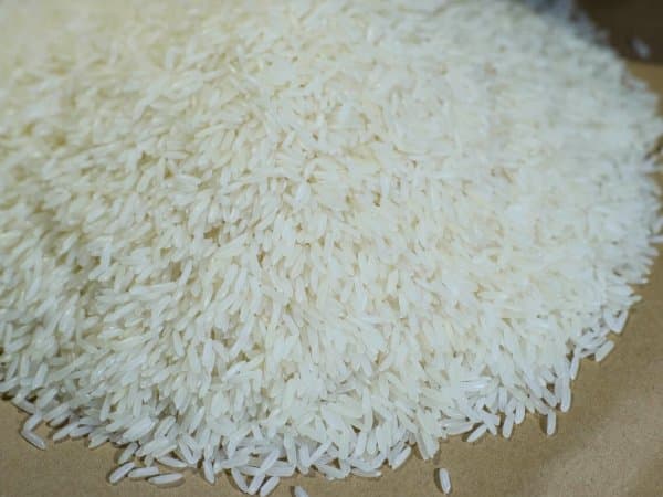 Rice